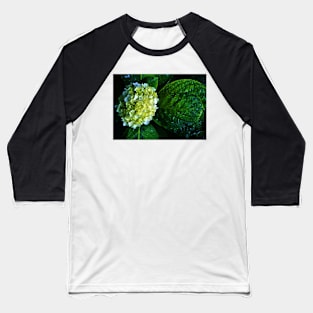 Wet Hydrangea Baseball T-Shirt